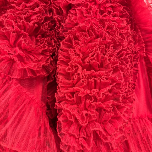 NWOT Dollcake Best Wishes Frock Scarlet Sz 10 - Picture 3 of 7